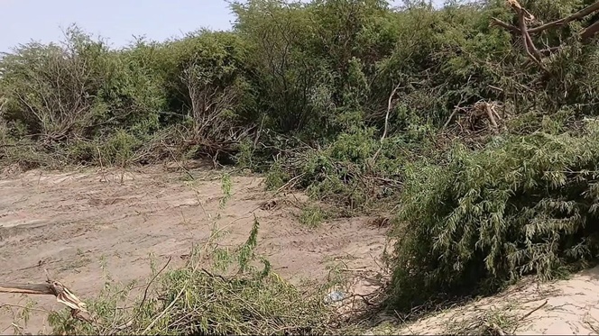 MBOUR-LAGUNE DE MBALING : L’alerte citoyenne fait arrêter les travaux de terrassement de la SIHM MBOUR-LAGUNE DE MBALING : L’alerte citoyenne fait arrêter les travaux de terrassement de la SIHM