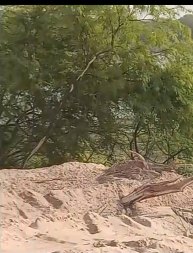 MBOUR : En images, le désastre écologique à la lagune de Mbaling MBOUR : En images, le désastre écologique à la lagune de Mbaling