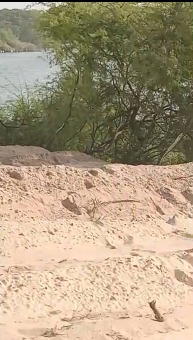 MBOUR : En images, le désastre écologique à la lagune de Mbaling MBOUR : En images, le désastre écologique à la lagune de Mbaling