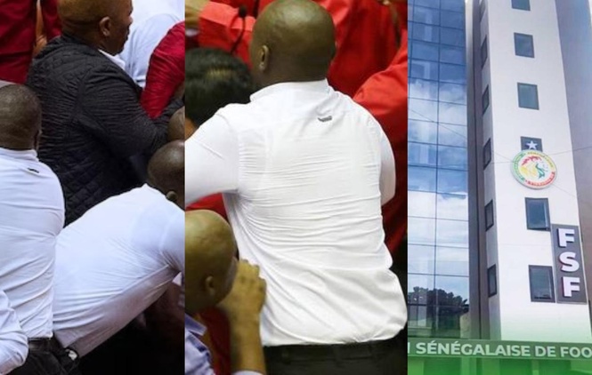 FSF : un Comex électrique, récit d'un déballage FSF : un Comex électrique, récit d'un déballage