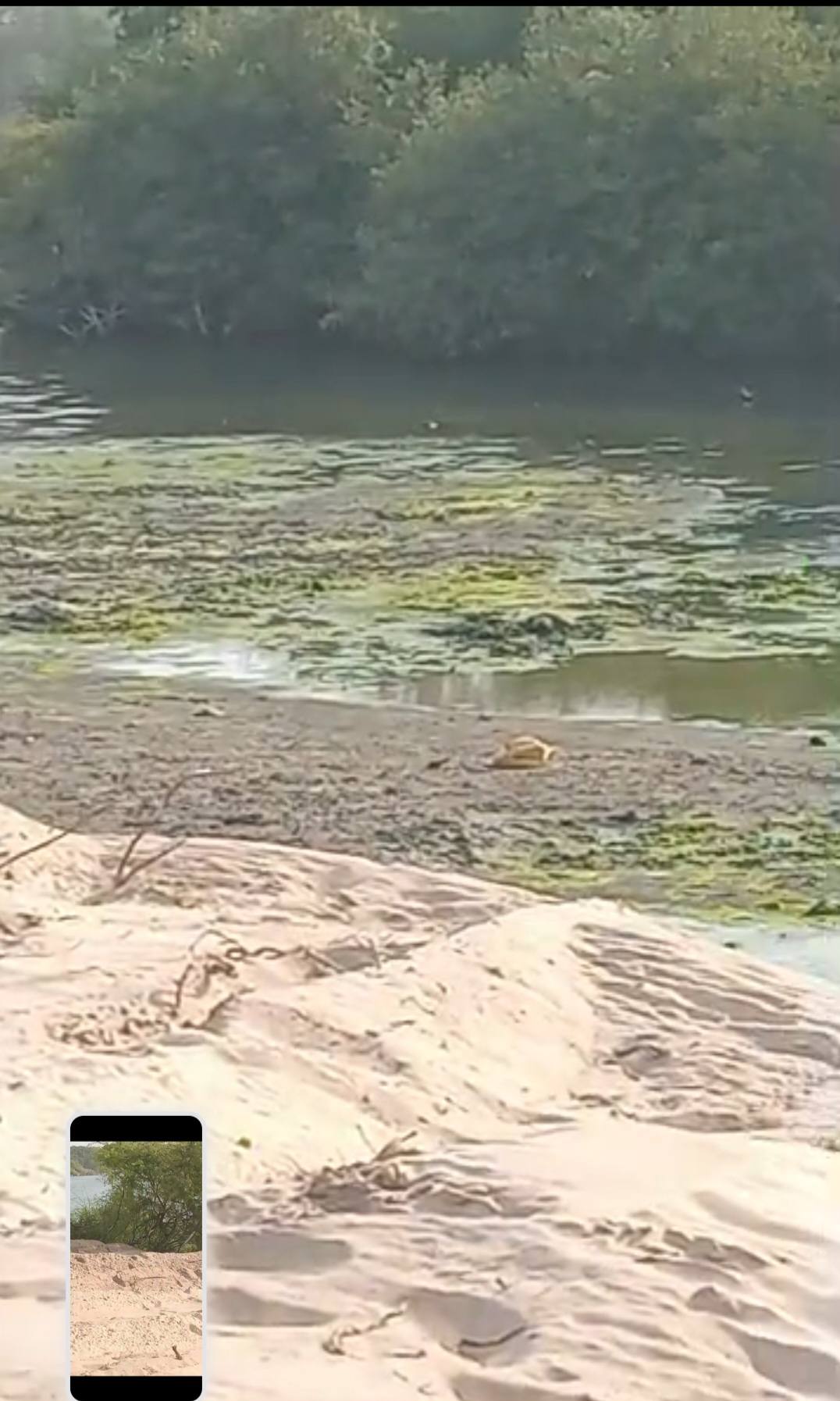 MBOUR : En images, le désastre écologique à la lagune de Mbaling