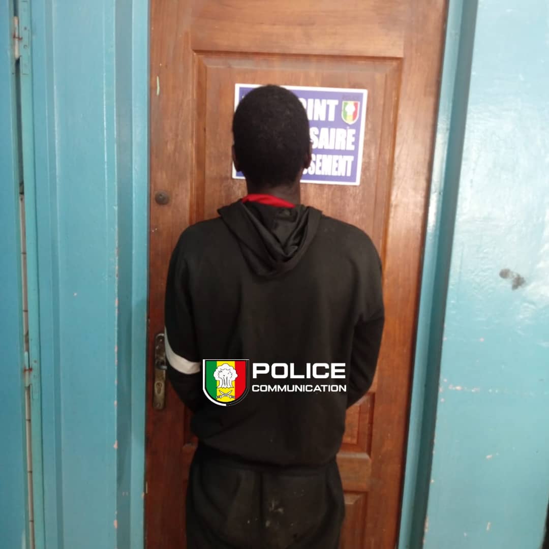 PREMIERE SAISIE DE CARFENTANIL AU SENEGAL : Une substance 100 fois plus puissant que le Fentanyl