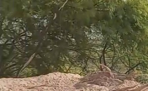 MBOUR : En images, le désastre écologique à la lagune de Mbaling