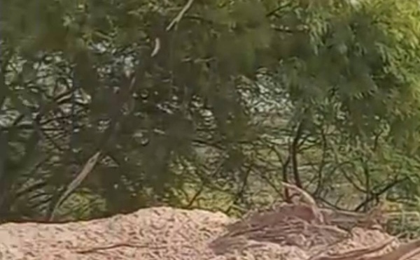 MBOUR : En images, le désastre écologique à la lagune de Mbaling