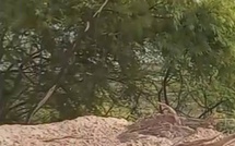 MBOUR : En images, le désastre écologique à la lagune de Mbaling