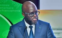 ASSEMBLEE NATIONALE : El Malick démissionne de la présidence